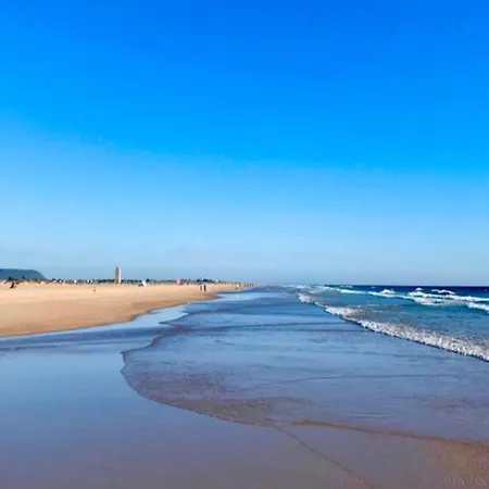 Anil コニル・デ・ラ・フロンテラ